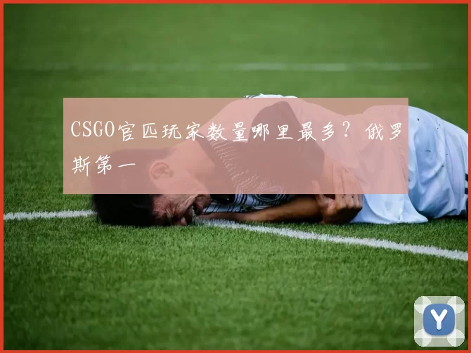 CSGO官匹玩家数量哪里最多？俄罗斯第一