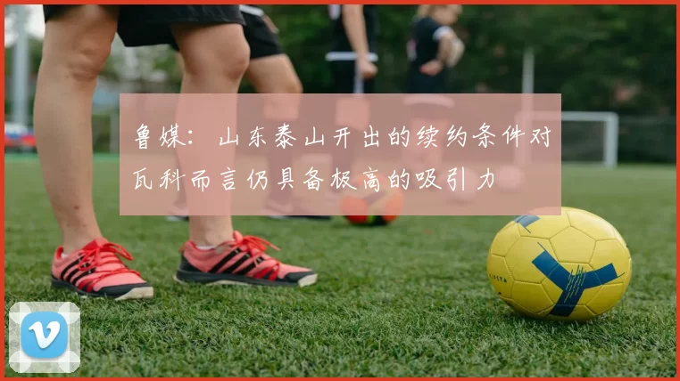 鲁媒：山东泰山开出的续约条件对瓦科而言仍具备极高的吸引力