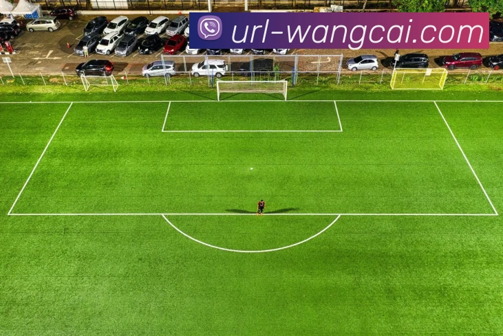 旺财28APP 体育赛事宣传图